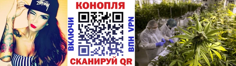 Каннабис конопля как найти Лакинск